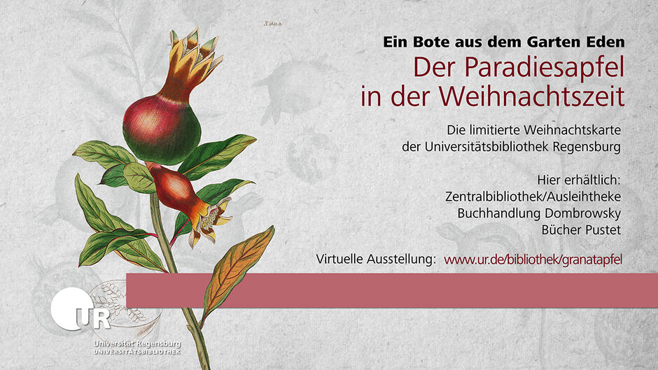 Poster der Universitätsbibliothek mit dem Granatapfel als Logo der Ausstellung und der Weihnachtskarte. "Hier erhältlich: Zentralbibliothek/Ausleihtheke/Buchhandlung Dombrowsky/Bücher Pustet" (öffnet Vergrößerung des Bildes)