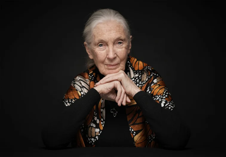 Portrait von Jane Goodall (öffnet Vergrößerung des Bildes)