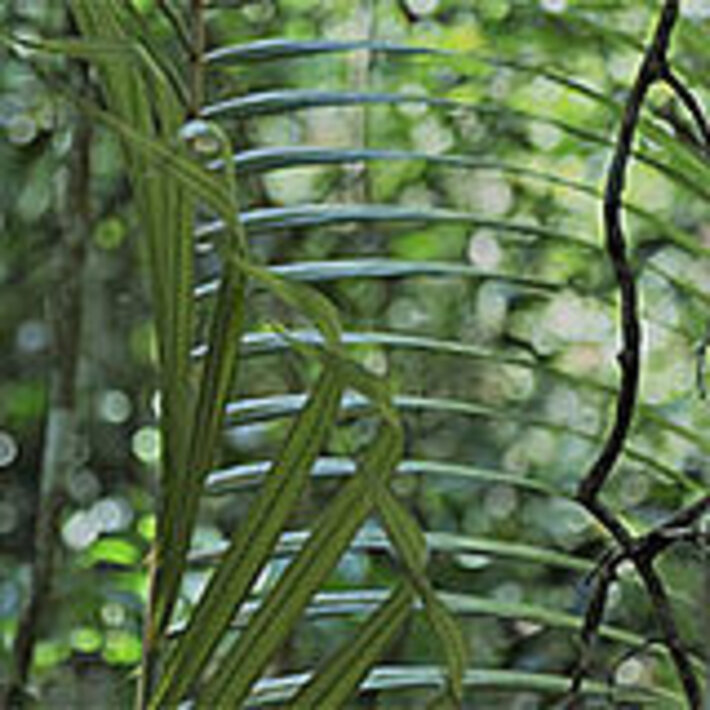 (öffnet Vergrößerung des Bildes)