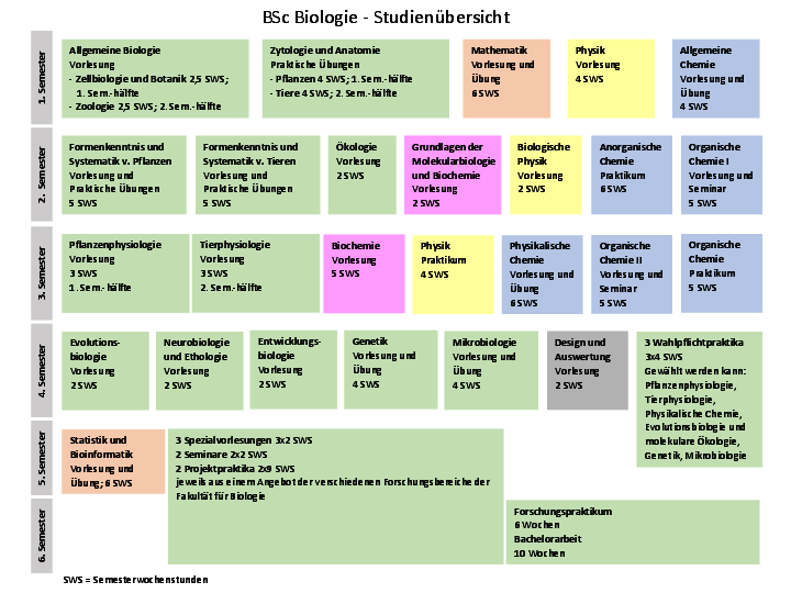 (öffnet Vergrößerung des Bildes)