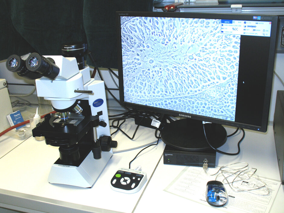 (öffnet Vergrößerung des Bildes)