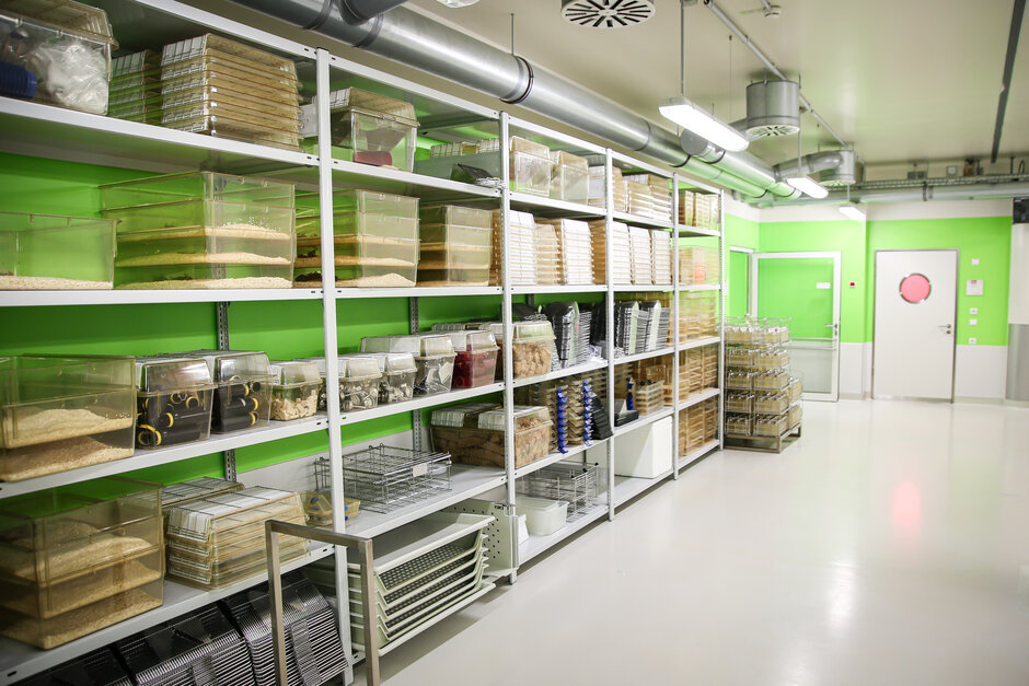 Blick von links auf Vorratsregal mit frischen Käfigmaterialien Querformat