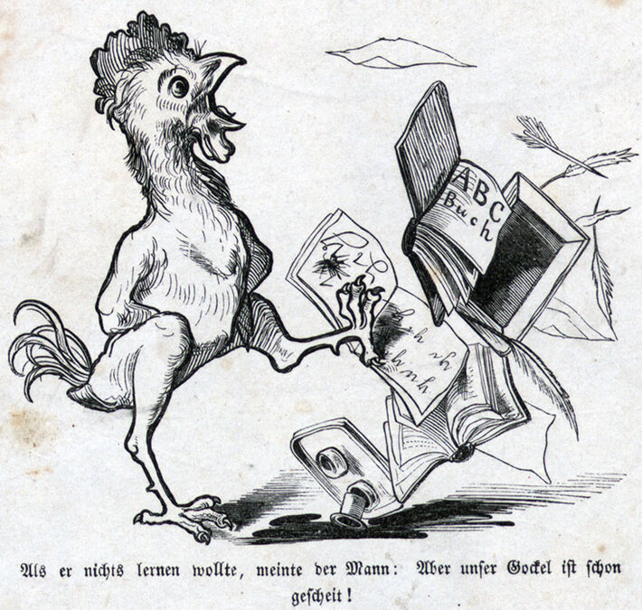 (öffnet Vergrößerung des Bildes)