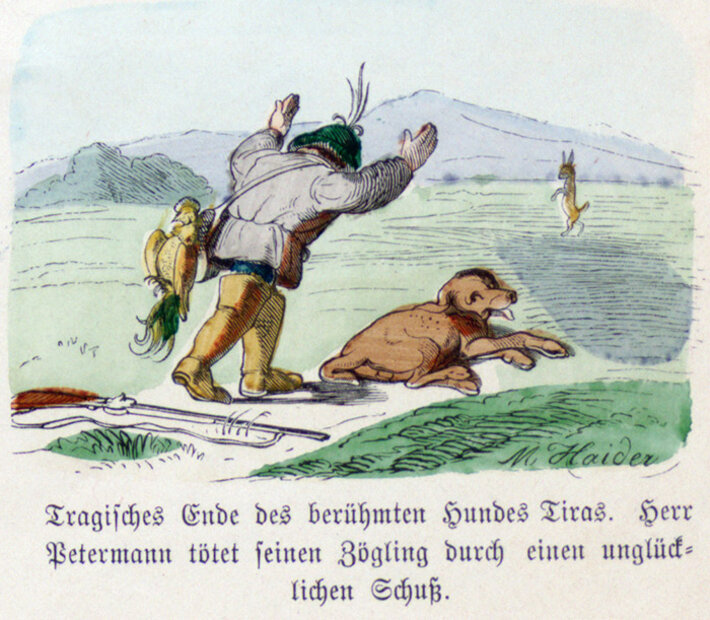 (öffnet Vergrößerung des Bildes)