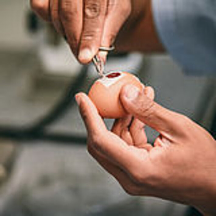 (öffnet Vergrößerung des Bildes)