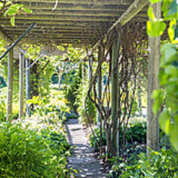 (öffnet Vergrößerung des Bildes)