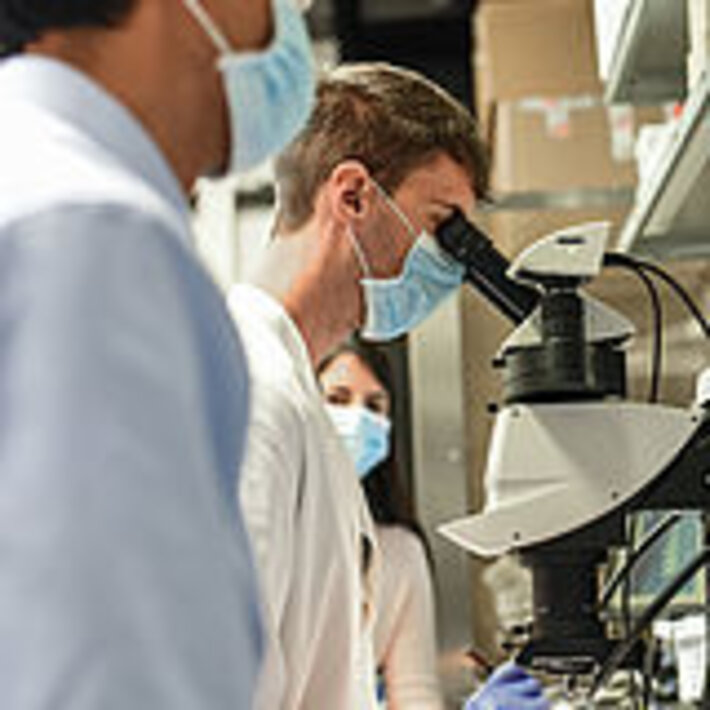 (öffnet Vergrößerung des Bildes)