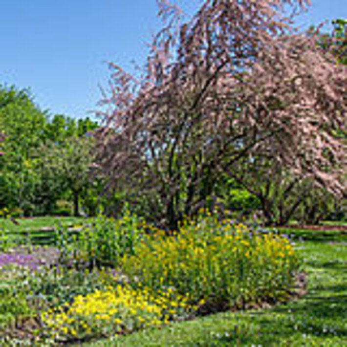 (öffnet Vergrößerung des Bildes)