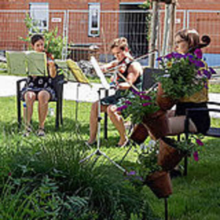 (öffnet Vergrößerung des Bildes)