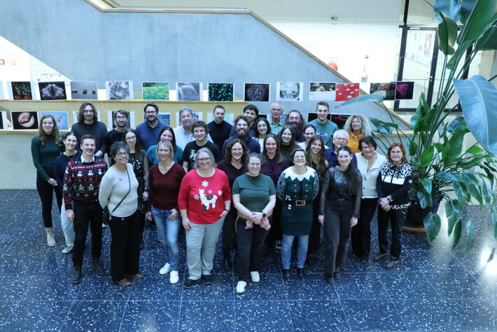 (öffnet Vergrößerung des Bildes)