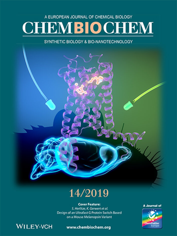 (öffnet Vergrößerung des Bildes)