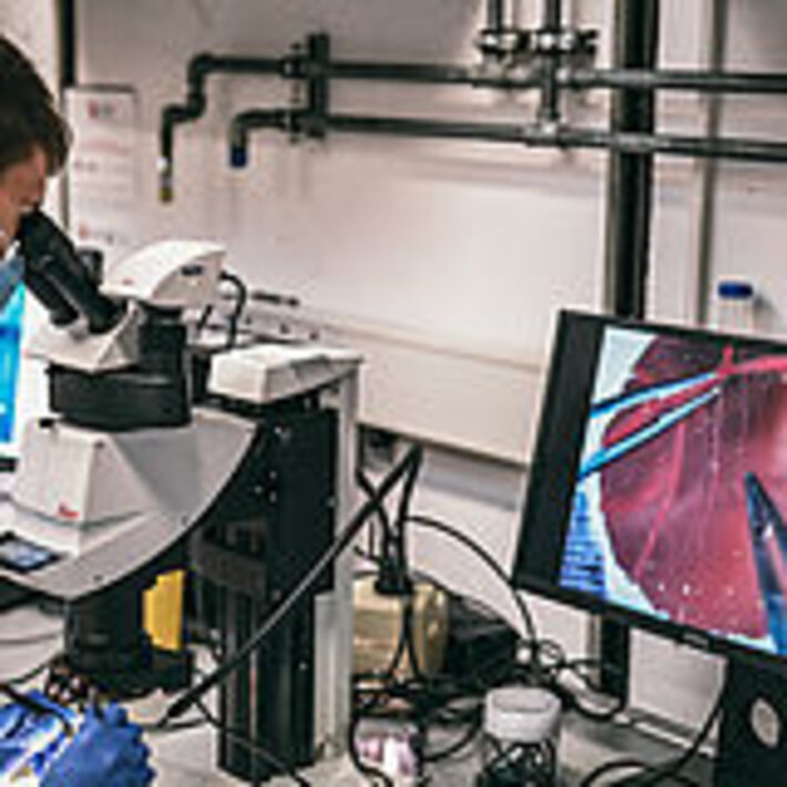 (öffnet Vergrößerung des Bildes)