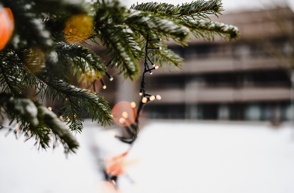 Nahaufnahme eines grünen Tannenzweigs, auf dem etwas Schnee liegt und der mit einer Lichterkette geschmückt ist. Im Hintergrund sind - reichlich unscharf - eine schneebedeckte Fläche und ein Hörsaalgebäude zu erkennen.