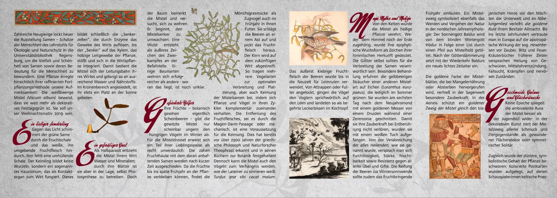 (öffnet Vergrößerung des Bildes)