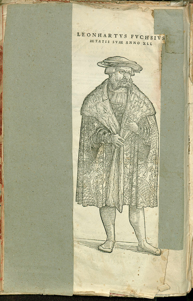 Leonhart Fuchs (öffnet Vergrößerung des Bildes)
