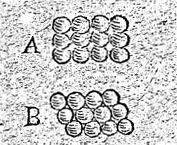 Johannes Kepler: Strena
