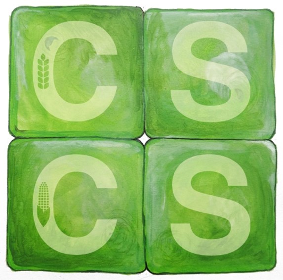 (externer Link, öffnet neues Fenster)