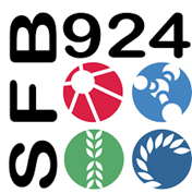 (externer Link, öffnet neues Fenster)