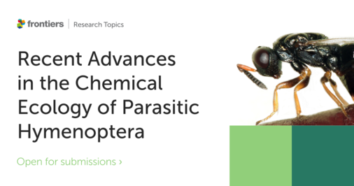 (externer Link, öffnet neues Fenster)