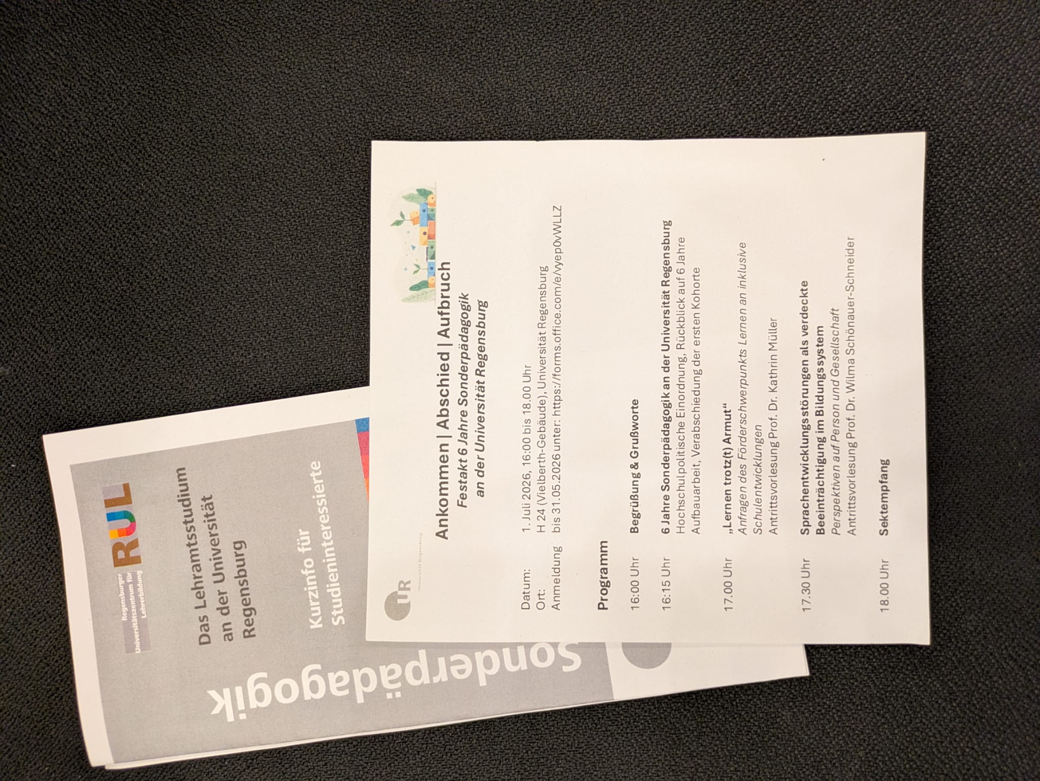 Programm zur Antrittsvorlesung, Flyer LA Sonderpädagogik