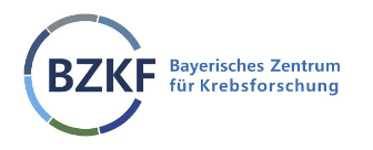 BZKF - Logo (externer Link, öffnet neues Fenster)