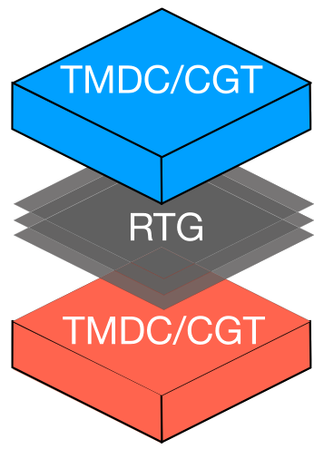 Schematics of rhombohedral trilayer graphene sandwiched between two TMDCs.