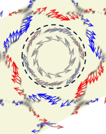 Calculated spin texture of the Fermi surfaces in PtBi2