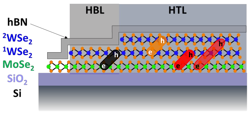 Illustration of interlayer excitons in a WSe2/WSe2/MoSe2 trilayer.