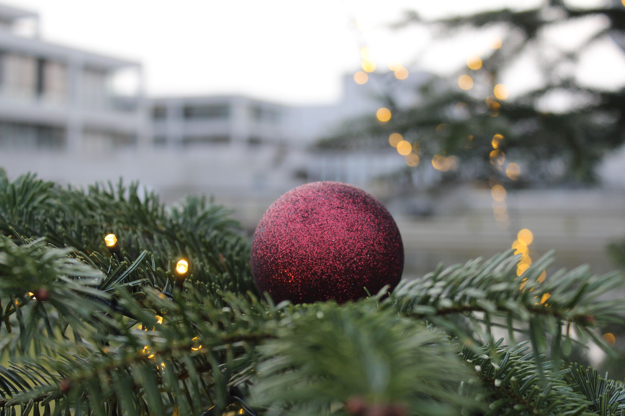 Christbaumkugel auf einem Nadelbaum mit einer Lichterkette. Im Hintergrund sieht man den Uni-See und das Verwaltungsgebäude