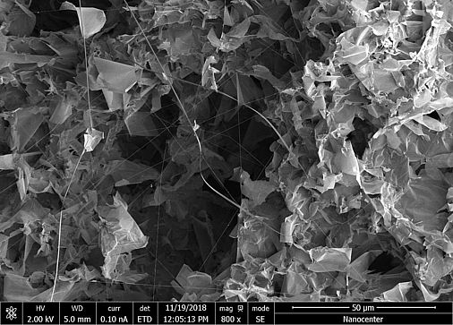 Eine Rasterelektronenmikroskopische Aufnahme einer nanostrukturierten Oberfläche mit dicht gepackten, schichtartigen Partikeln und komplexer, zerklüfteter Textur. Die Aufnahme zeigt eine Vergrößerung von 800-fach, mit einer Maßstabsleiste von 50 µm. Technische Parameter wie Spannung (2.00 kV), Arbeitsabstand (5.0 mm), Stromstärke (0.10 nA), Detektortyp (ETD) und Aufnahmedatum (19.11.2018, 12:05 Uhr) sind am unteren Bildrand angegeben.