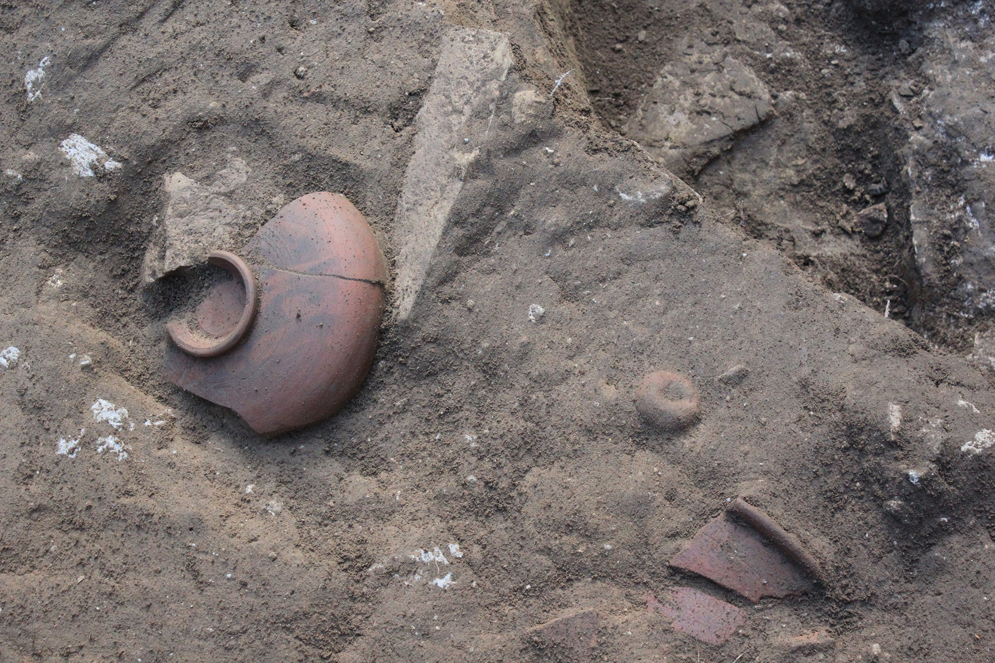 Eine Nahaufnahme des Erdbodens mit freigelegten Scherben und Fragmenten aus Ton (öffnet Vergrößerung des Bildes)