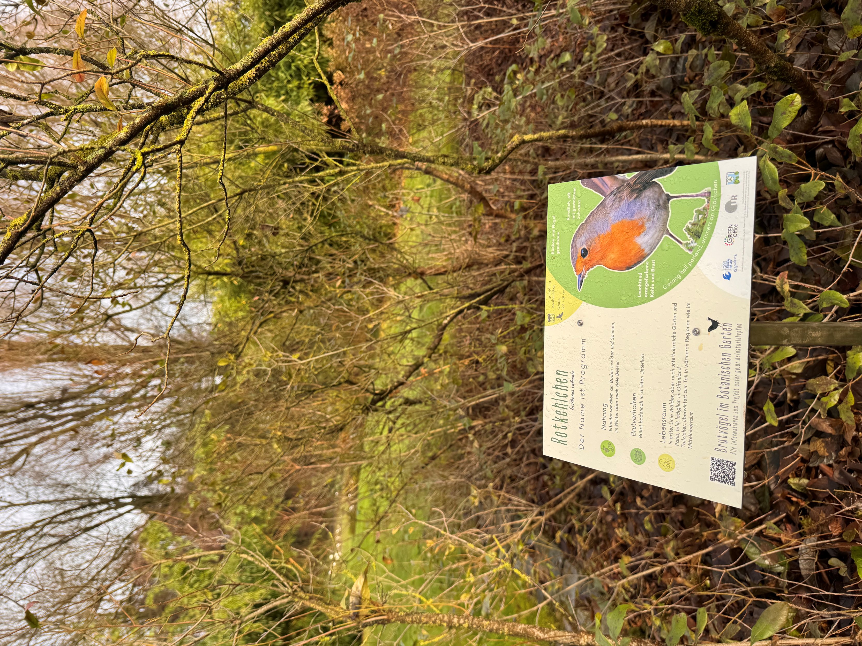 (öffnet Vergrößerung des Bildes)