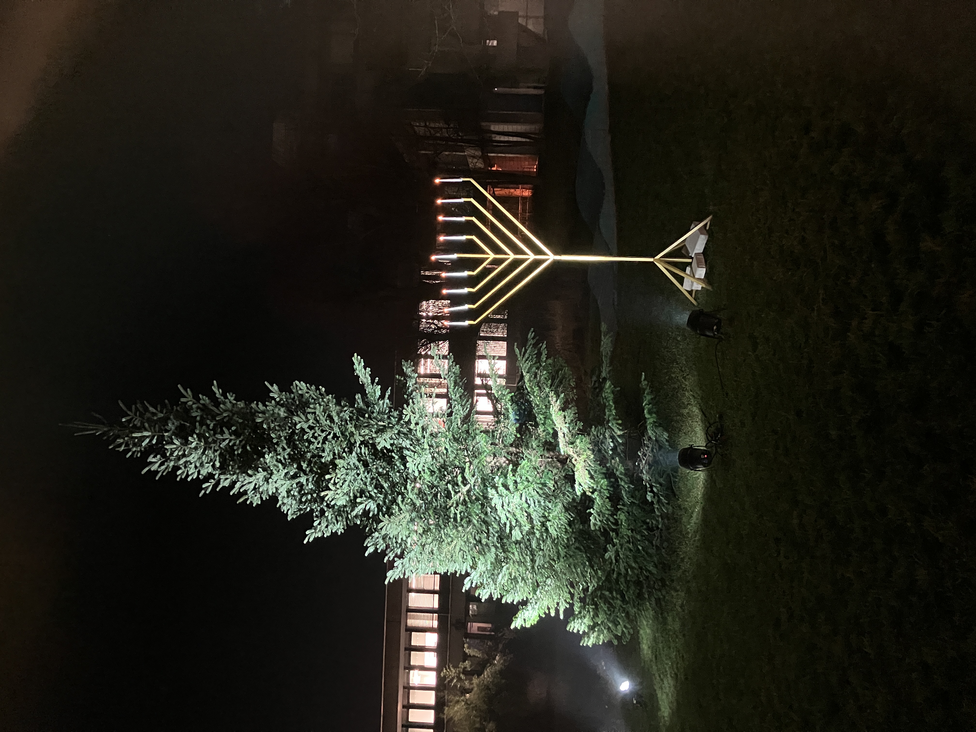 (öffnet Vergrößerung des Bildes)