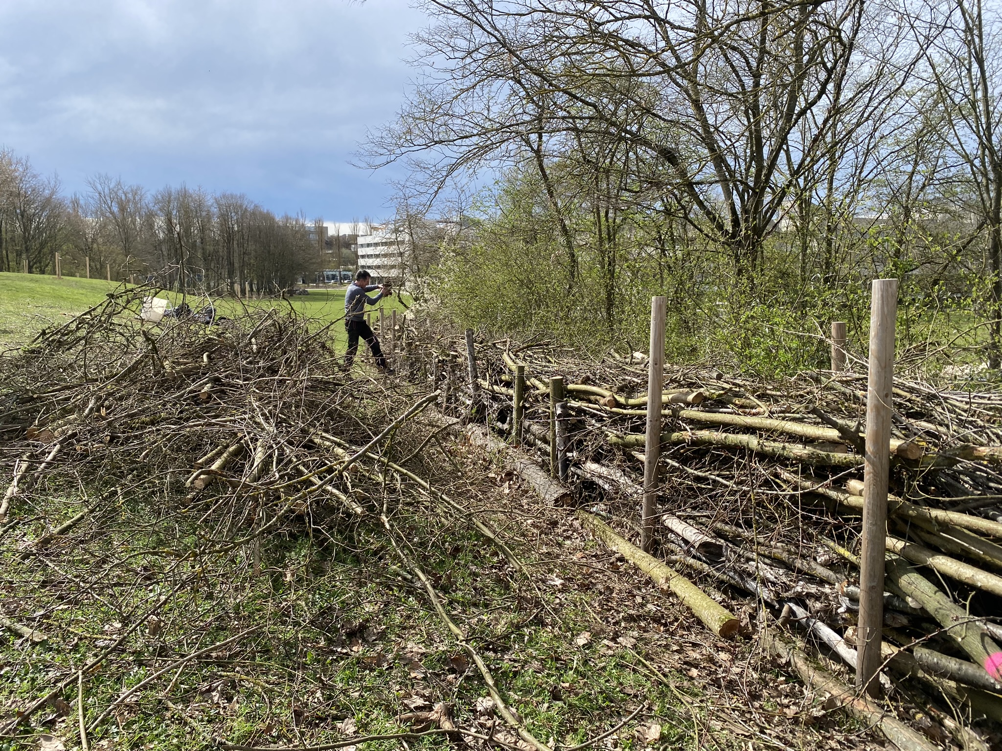 (öffnet Vergrößerung des Bildes)