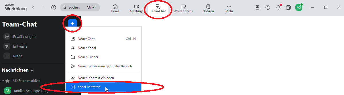 Anleitung für den Zoom Kanal