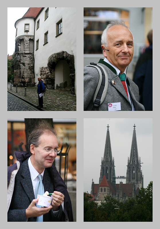 Lustratio urbis Villio Ratisbonensi duce